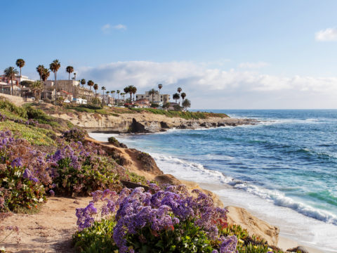 beach and cliff view of la jolla