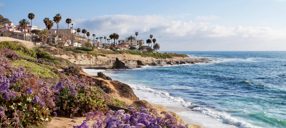 beach and cliff view of la jolla