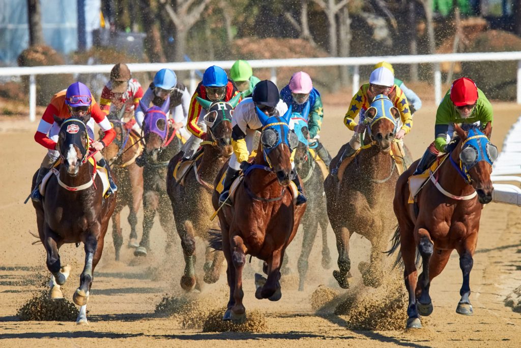 horses racing on field