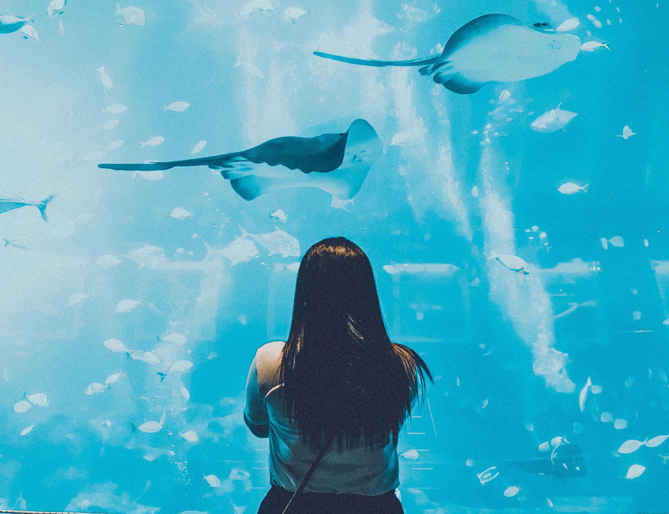 Aquarium