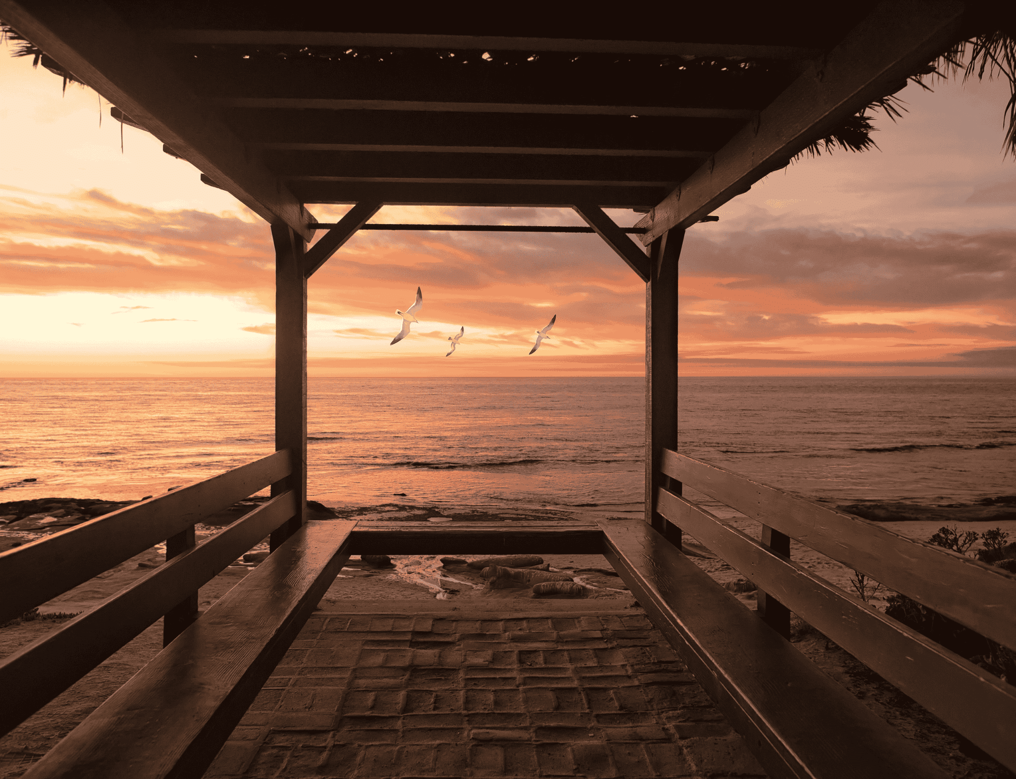 windansea by frank mckenna