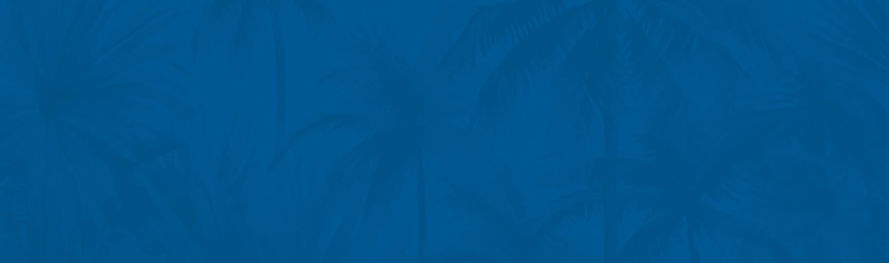 https://www.islandpalms.com/wp-content/uploads/sites/5/2025/01/footer_bg.webp