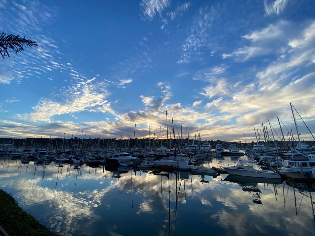 a marina full of sailboats