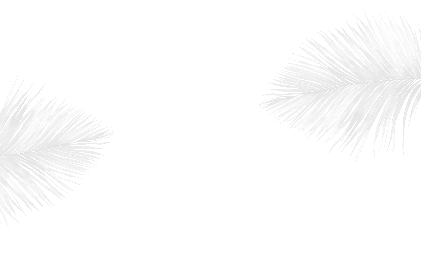 palm frond background