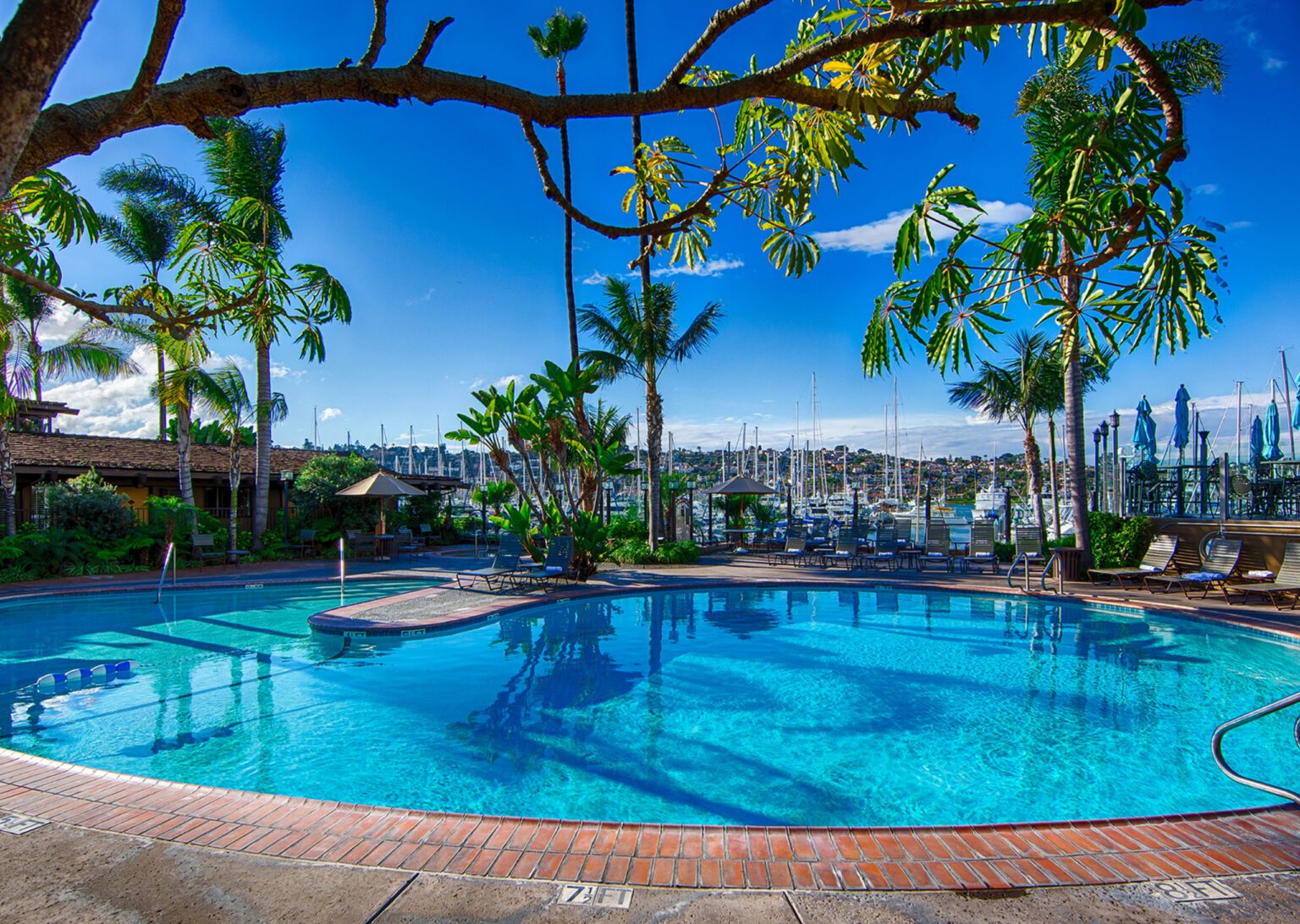 swimming pool