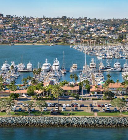 aerial view of marina