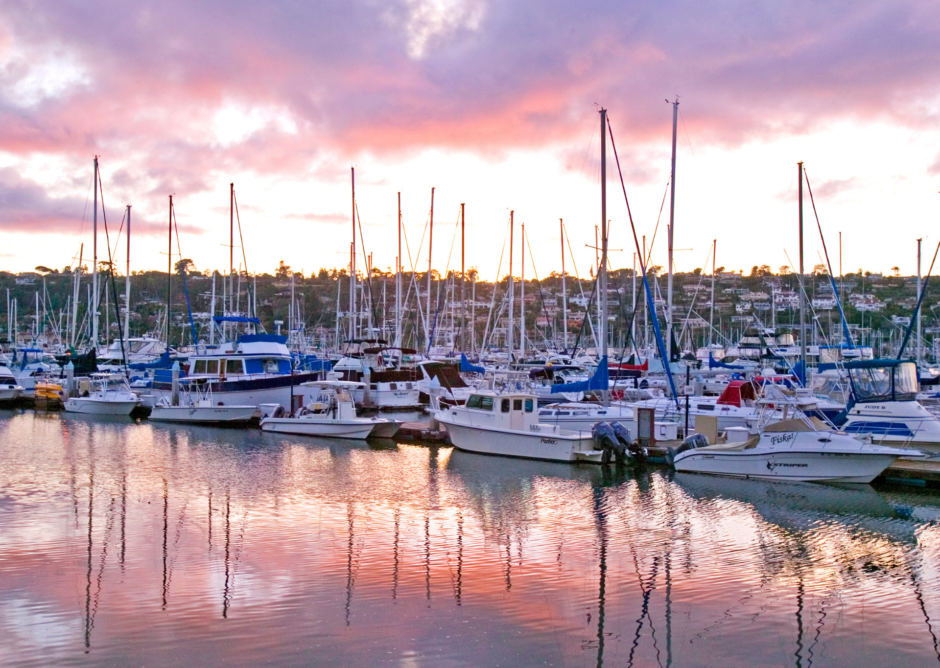 boats in the marina at sunset