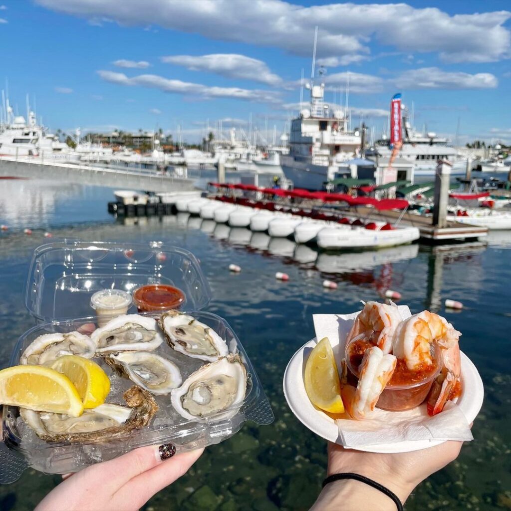 oysters a shrimp cocktail