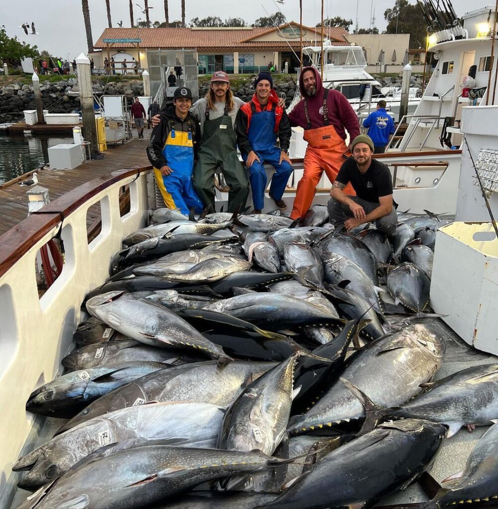 fishermen on a boat full of large, silver fish