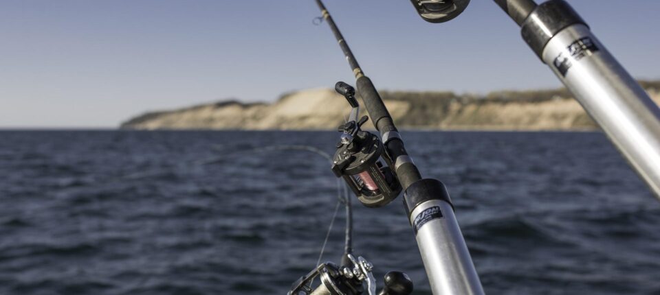 a fishing rod