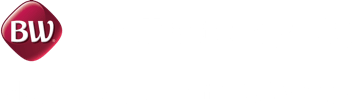 light logo
