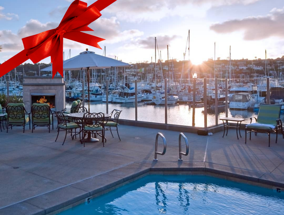 bwip black friday offer