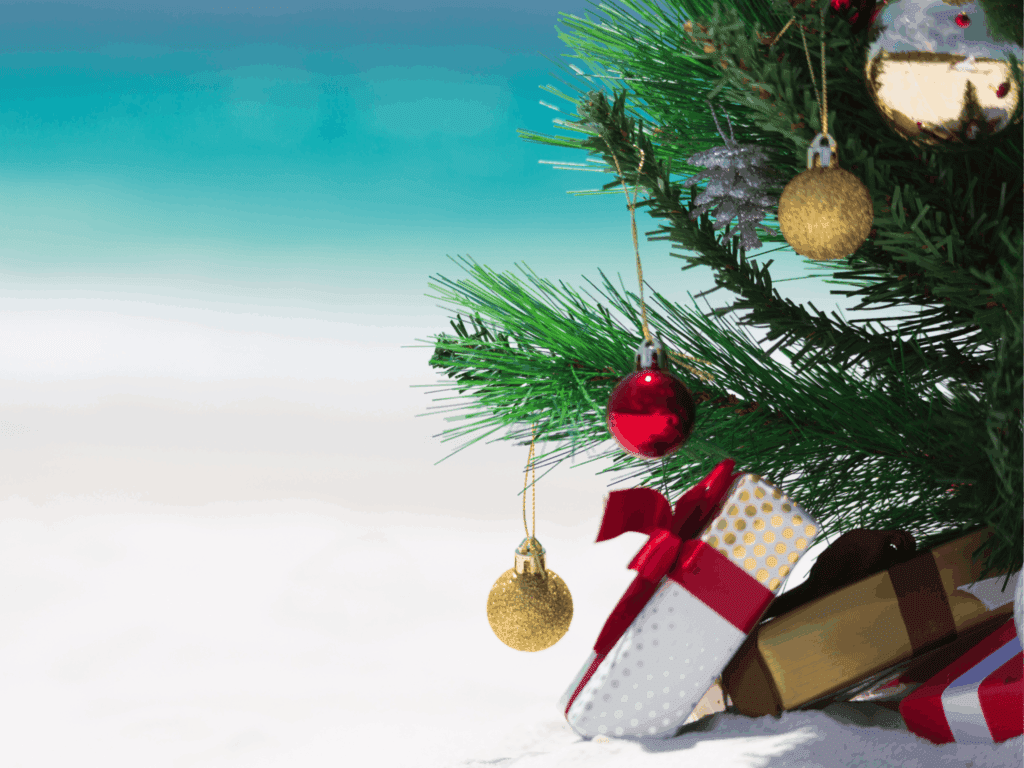 christmas tree on beach