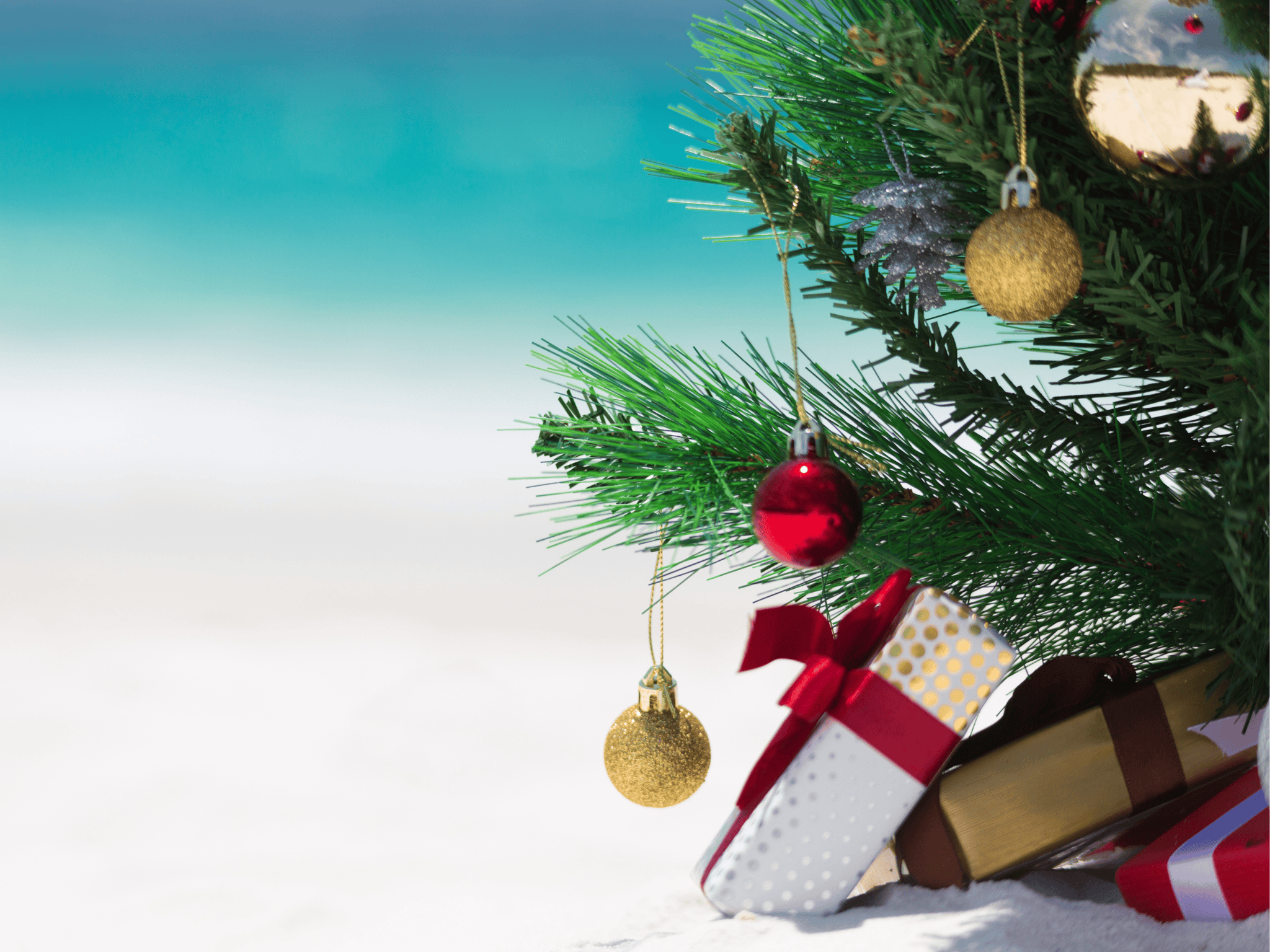 christmas tree on beach