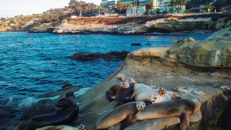 la jolla cove