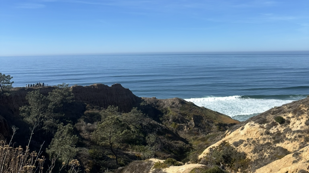 torrey pines
