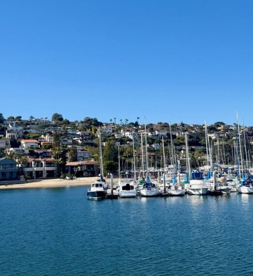 San Diego Local’s Guide to Secret Spots