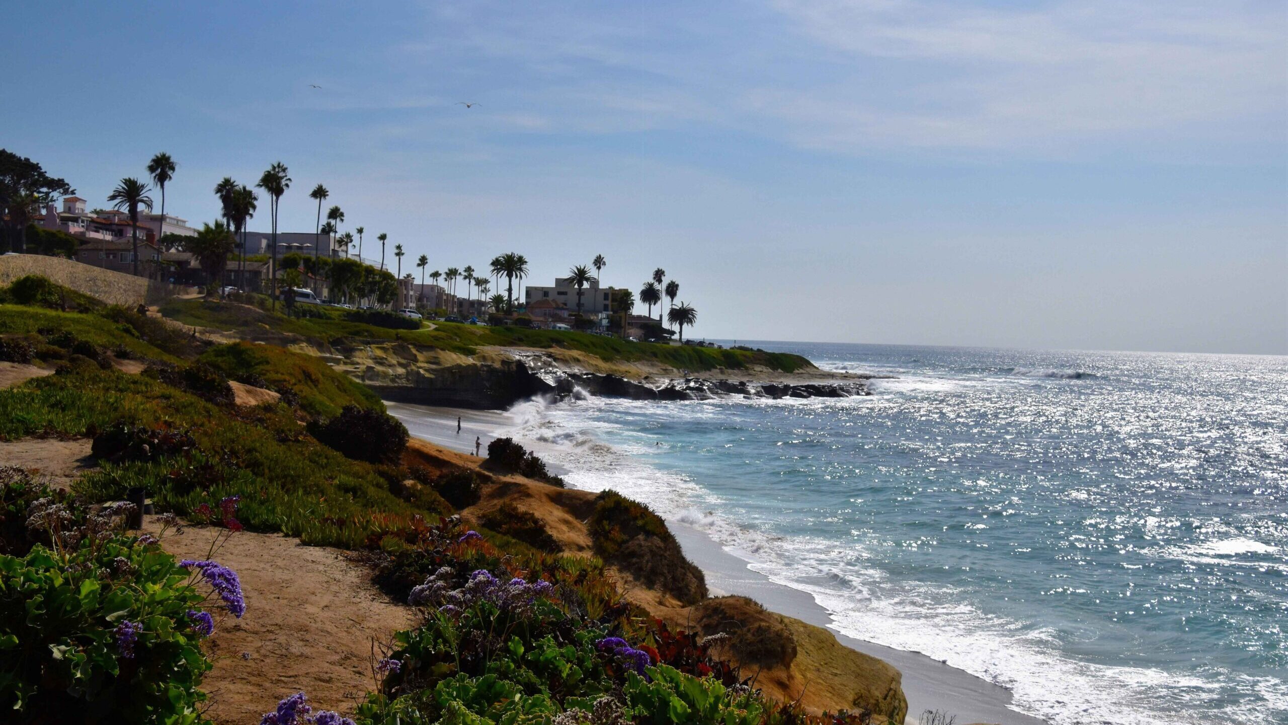 la jolla by jeffrey eisen