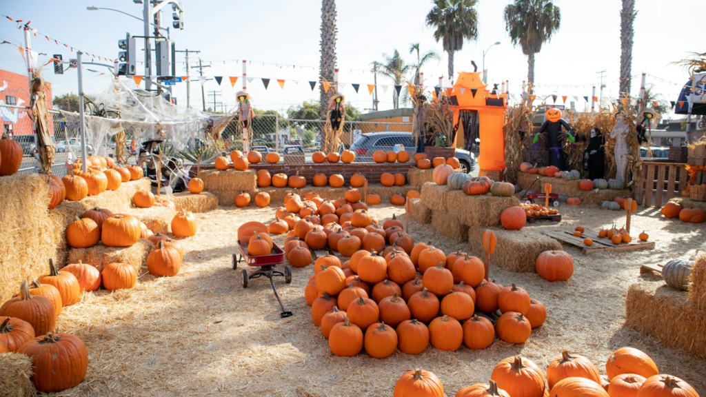 Goff Pumpkin Patch San Diego